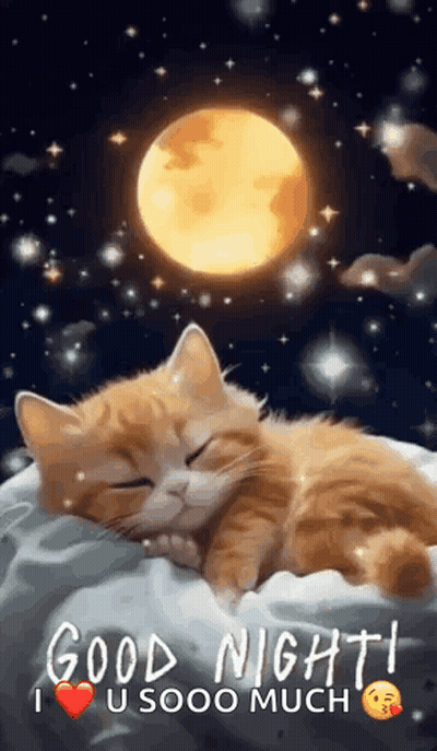 A Cat Is Sleeping On A Pillow In Front Of A Full Moon And Stars . GIF