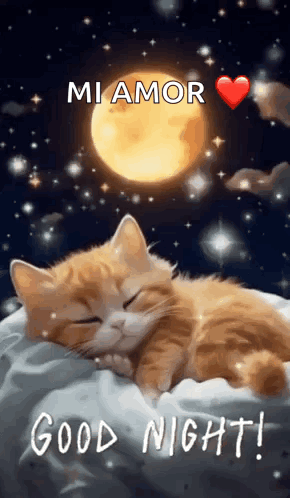 A Cat Is Sleeping On A Pillow In Front Of A Full Moon With The Words `` Mi Amor '' Written On It . GIF