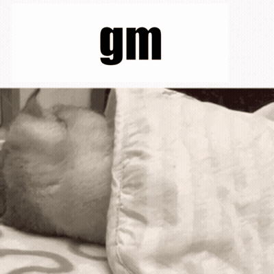 A Cat Is Sleeping Under A Pillow With The Word Gm Below It GIF