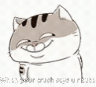 A Cat Is Smiling With Its Eyes Closed And Says `` When Your Crush Says U R Cute '' . GIF
