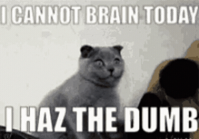 A Cat Is Smiling With The Words I Cannot Brain Today I Haz The Dumb Behind It . GIF