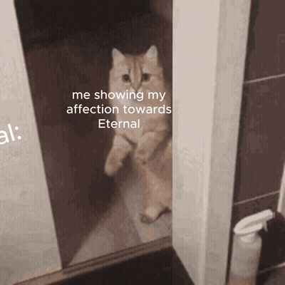 A Cat Is Standing In A Doorway With The Caption Me Showing My Affection Towards Eternal GIF