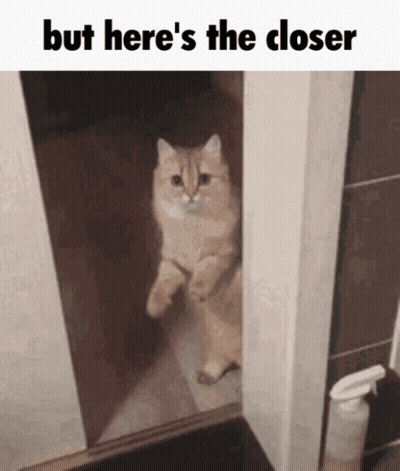 A Cat Is Standing In A Doorway With The Words But Here 'S The Closer Above It GIF