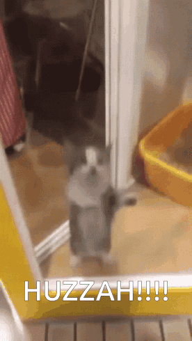 A Cat Is Standing In A Doorway With The Words Huzzah !!! Written Below It GIF
