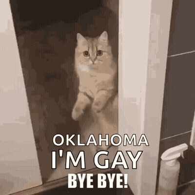 A Cat Is Standing In A Doorway With The Words Oklahoma I 'M Gay Bye Bye Written On It . GIF