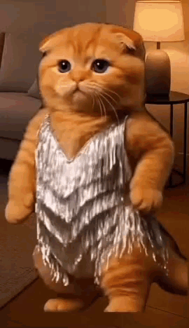 A Cat Is Standing In A Living Room Wearing A Silver Dress . GIF
