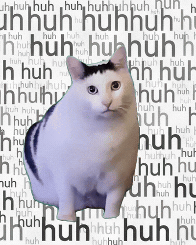 a cat is standing in front of a background that says ' huh ' on it
