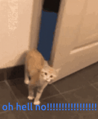 A Cat Is Standing In Front Of A Door With The Words `` Oh Hell No '' Written On The Bottom . GIF