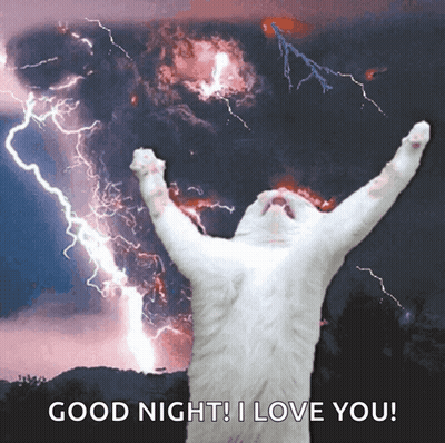 A Cat Is Standing In Front Of A Lightning Storm With The Words Good Night I Love You GIF