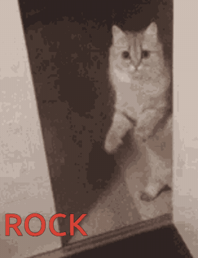 A Cat Is Standing In Front Of A Mirror With The Word Rock Written In Red GIF