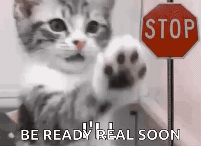 A Cat Is Standing In Front Of A Stop Sign With Its Paw Up . GIF