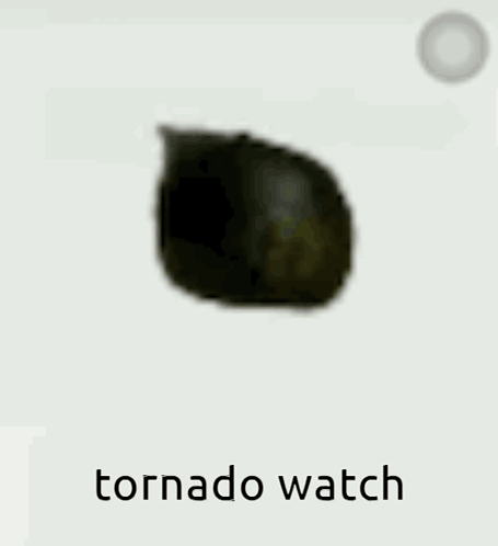 A Cat Is Standing In Front Of A White Background With The Words Tornado Watch Written Below It . GIF