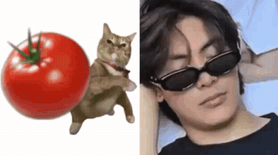 A Cat Is Standing Next To A Tomato And A Man Wearing Sunglasses Is Laying On A Bed . GIF