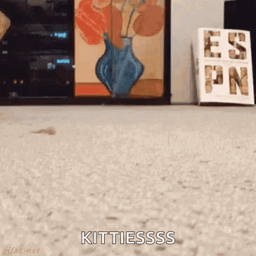 A Cat Is Standing On A Carpet With The Words Kittiesss Written On It GIF