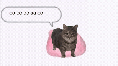 A Cat Is Standing On A Pink Pillow With A Speech Bubble Above It That Says Oo Eee GIF