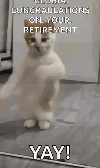 a cat is standing on its hind legs and dancing with the words `` congratulations on your retirement yay '' .