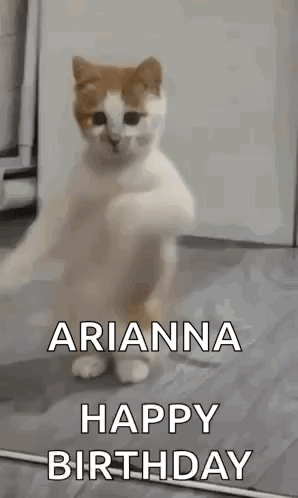 A Cat Is Standing On Its Hind Legs And Says `` Ariana Happy Birthday '' . GIF