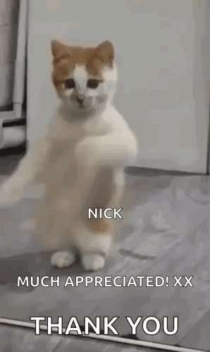 A Cat Is Standing On Its Hind Legs And Waving Its Paws In The Air . GIF
