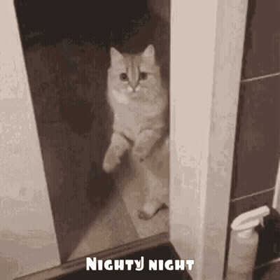 A Cat Is Standing On Its Hind Legs In A Doorway . GIF