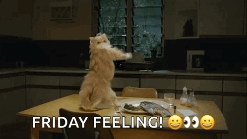 A Cat Is Standing On Its Hind Legs In Front Of A Table That Says Friday Feeling On It GIF