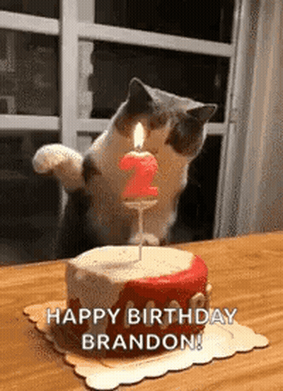 A Cat Is Standing On Its Hind Legs Next To A Birthday Cake With A Candle . GIF
