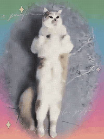 A Cat Is Standing On Its Hind Legs With A Rainbow Background GIF