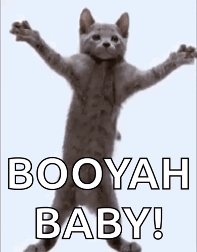 A Cat Is Standing On Its Hind Legs With Its Arms Outstretched And The Words Booyah Baby . GIF