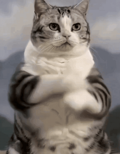 A Cat Is Standing On Its Hind Legs With Its Paws Crossed . GIF