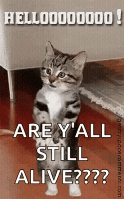 A Cat Is Standing On Its Hind Legs With The Words `` Are Y 'All Still Alive '' Written Above It . GIF