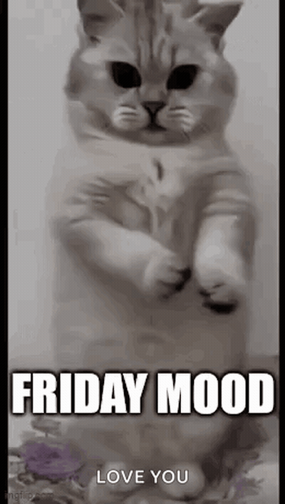 A Cat Is Standing On Its Hind Legs With The Words `` Friday Mood Love You '' Written Below It . GIF