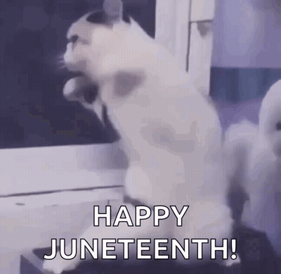 A Cat Is Standing On Its Hind Legs With The Words Happy Juneteenth Behind It GIF