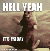 A Cat Is Standing On Its Hind Legs With The Words Hell Yeah It 'S Friday GIF