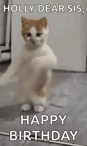 A Cat Is Standing On Its Hind Legs With The Words `` Holly Dear Sis , Happy Birthday '' . GIF