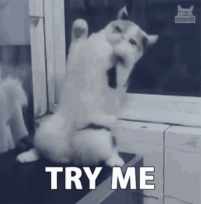 A Cat Is Standing On Its Hind Legs With The Words Try Me Written Below It GIF