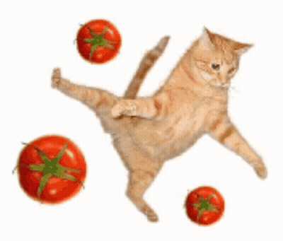 A Cat Is Standing On Its Hind Legs With Tomatoes Around It GIF
