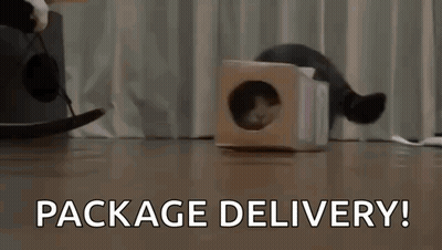 A Cat Is Sticking Its Head Out Of A Cardboard Box With The Words Package Delivery Written Below It GIF