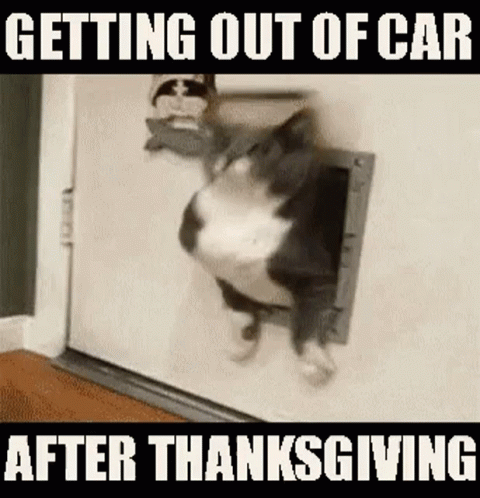 A Cat Is Sticking Its Head Through A Cat Door . GIF