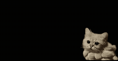 A Cat Is Surrounded By A Cloud Of Smoke Against A Black Background GIF