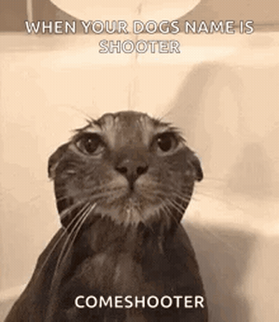 A Cat Is Taking A Bath In A Bathtub With A Caption . GIF