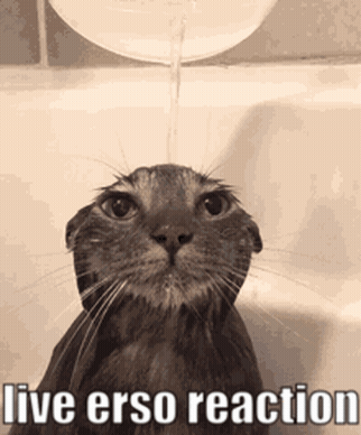 A Cat Is Taking A Bath In A Bathtub With Water Pouring On It . GIF