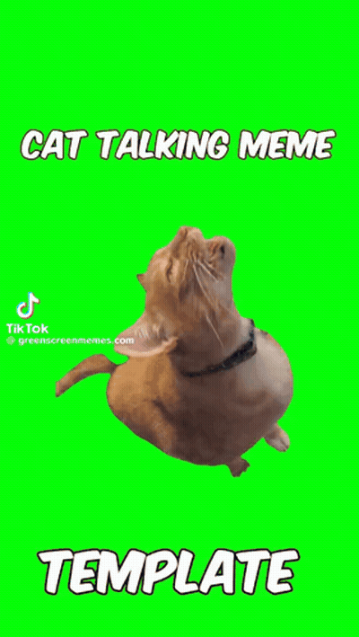 A Cat Is Talking On A Green Screen With A Template Below It GIF