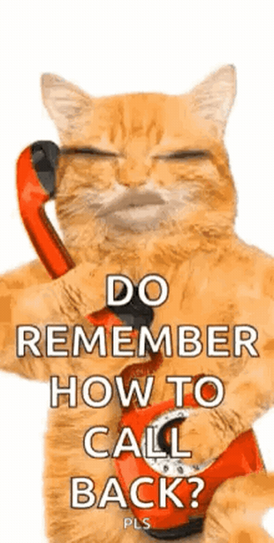 A Cat Is Talking On A Red Telephone . GIF