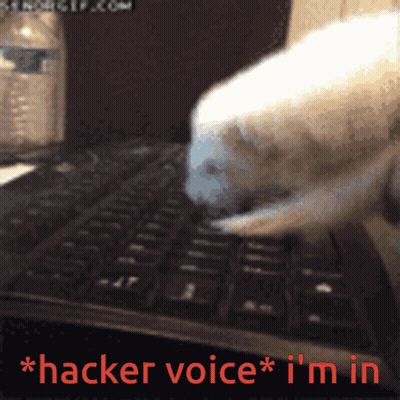A Cat Is Typing On A Keyboard With The Words Hacker Voice I 'M In Below It GIF