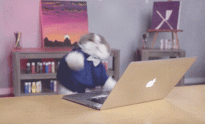 A Cat Is Using An Apple Laptop On A Table GIF