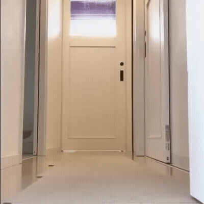 A Cat Is Walking Down A Hallway Next To A Door With A Window . GIF