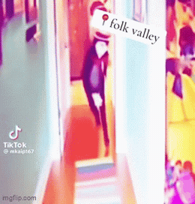 A Cat Is Walking Down A Hallway With A Sign That Says Folk Valley . GIF