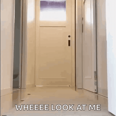 A Cat Is Walking Down A Hallway With The Words " Weeee Look At Me " On The Floor . GIF