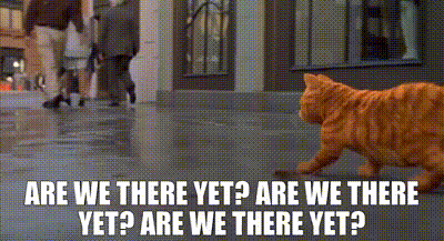 A Cat Is Walking Down A Sidewalk Next To A Sign That Says " Are We There Yet Are We There Yet Are We There Yet " GIF