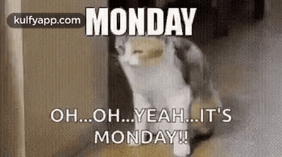 A Cat Is Walking Down A Staircase With The Words `` Monday Oh ... Oh ... Yeah ... It 'S Monday ! '' GIF