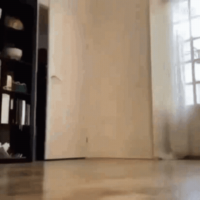 A Cat Is Walking In A Room Next To A Bookshelf And A Door . GIF